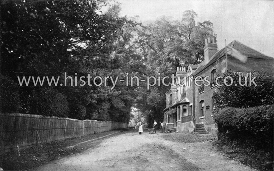 Orange Tree Hill, Havering, Romford. Essex. c.1906